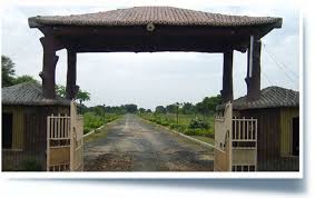 Plotes – Jai golu properties